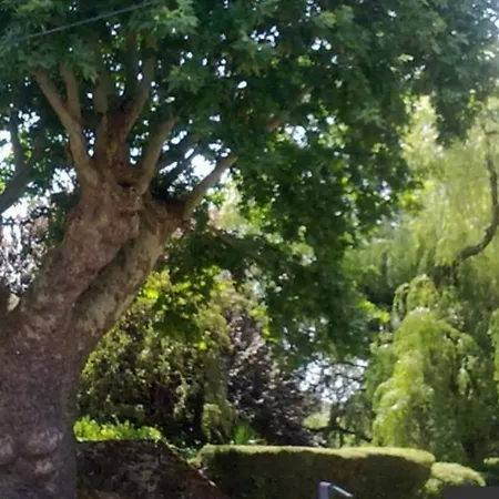 Le Perchoir Nocturne