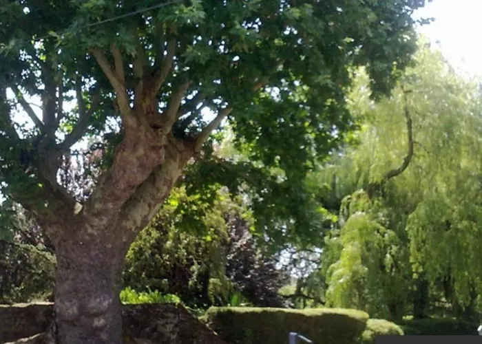 Le Perchoir Nocturne